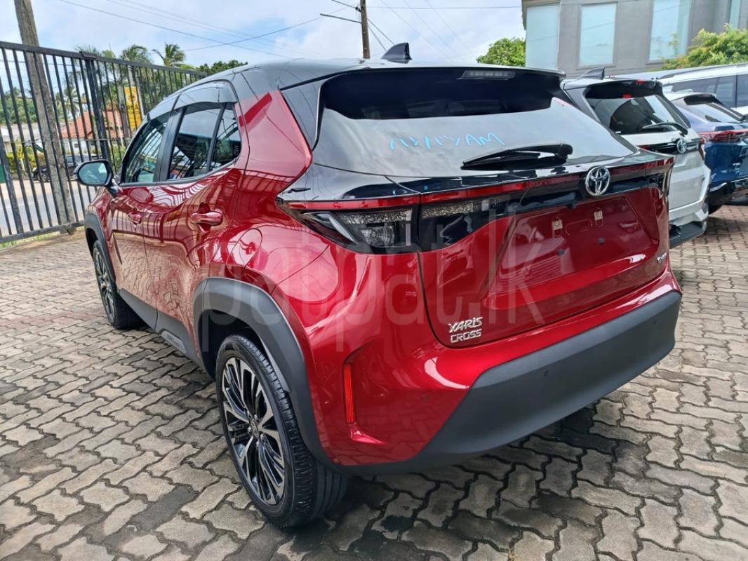 Advertisement image 2