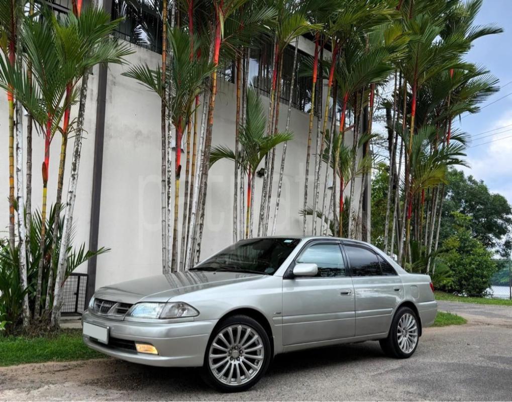 Advertisement image 6