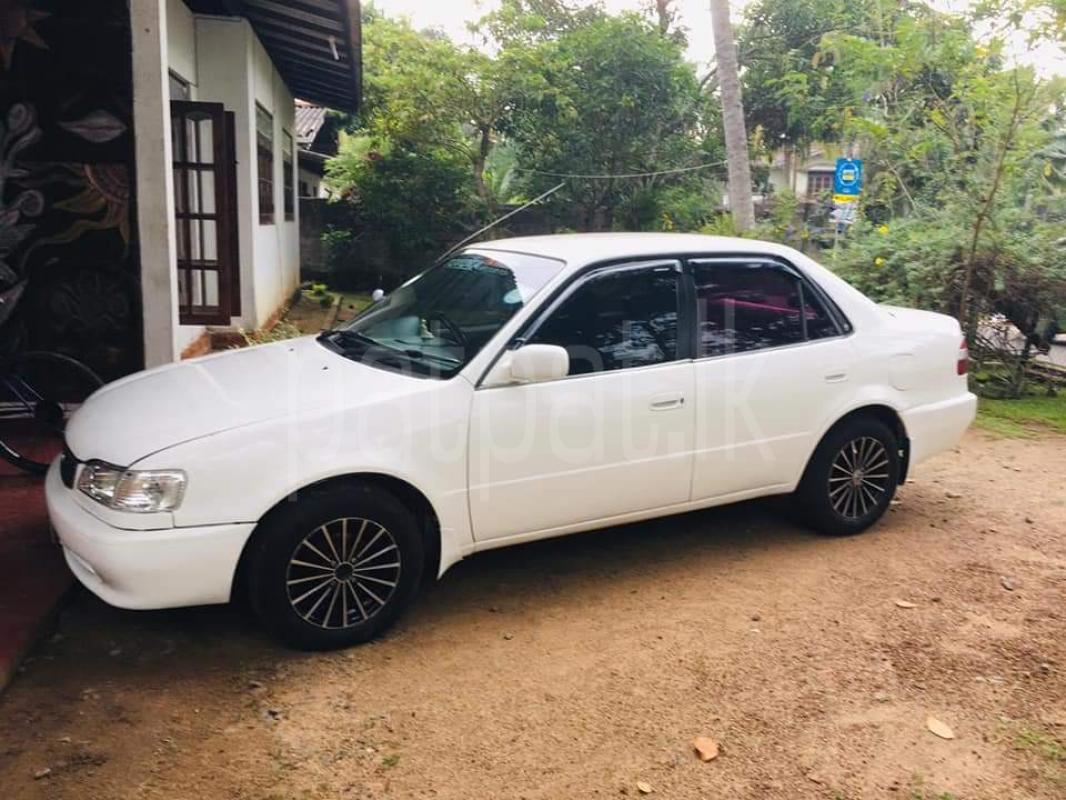 Advertisement image 1