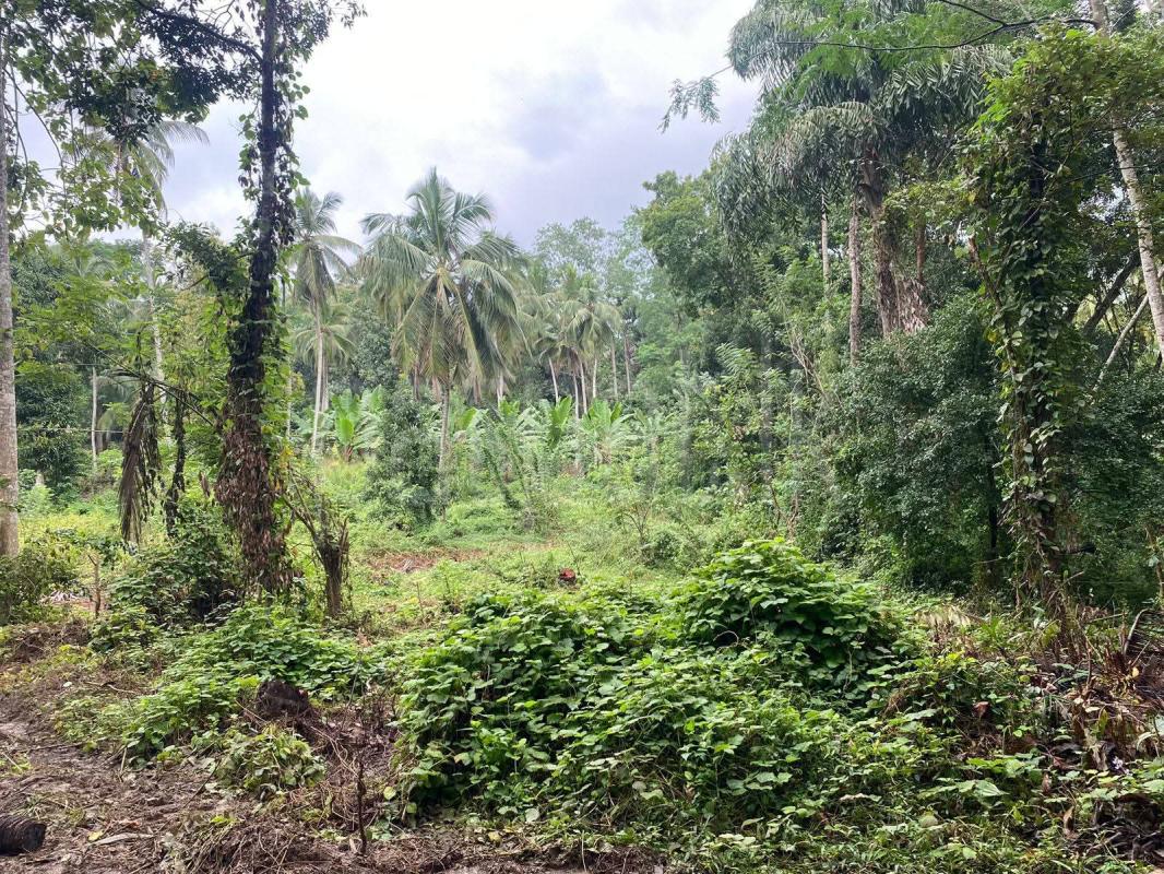 Residential Land for Sale in Middeniya