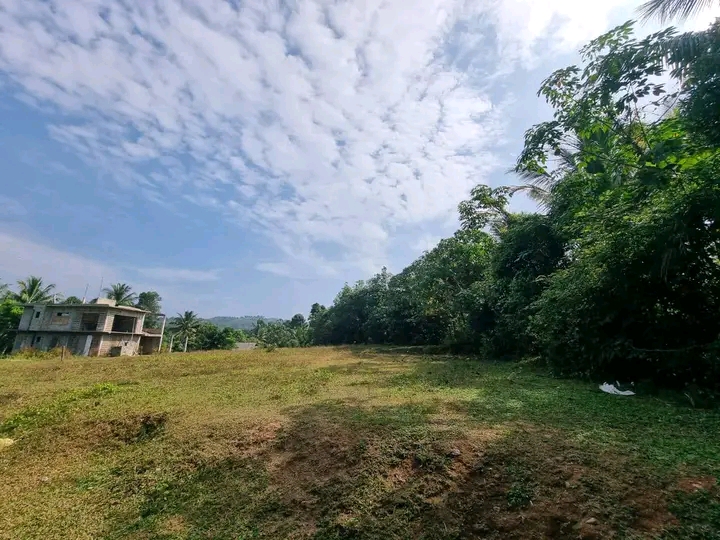 Commercial Land for Sale in Nittambuwa