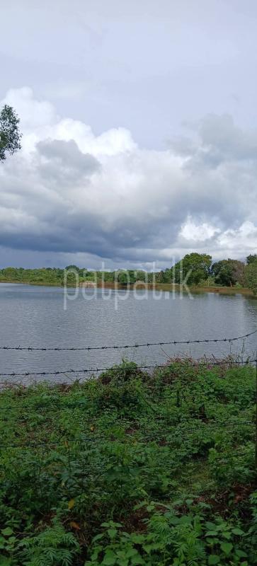 Residential Land for Sale in Sella Kataragama