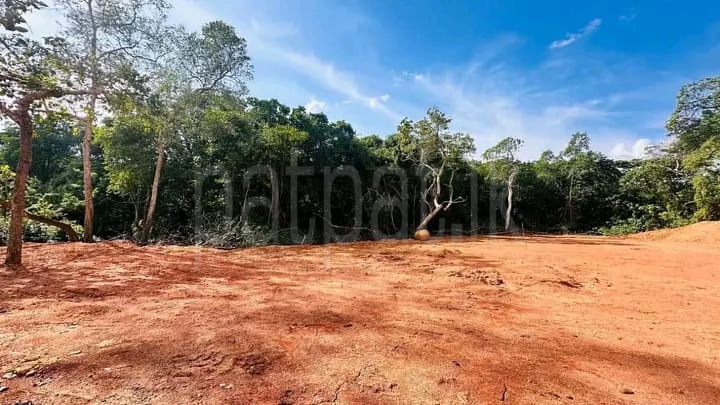 Commercial Land for Sale in Hikkaduwa