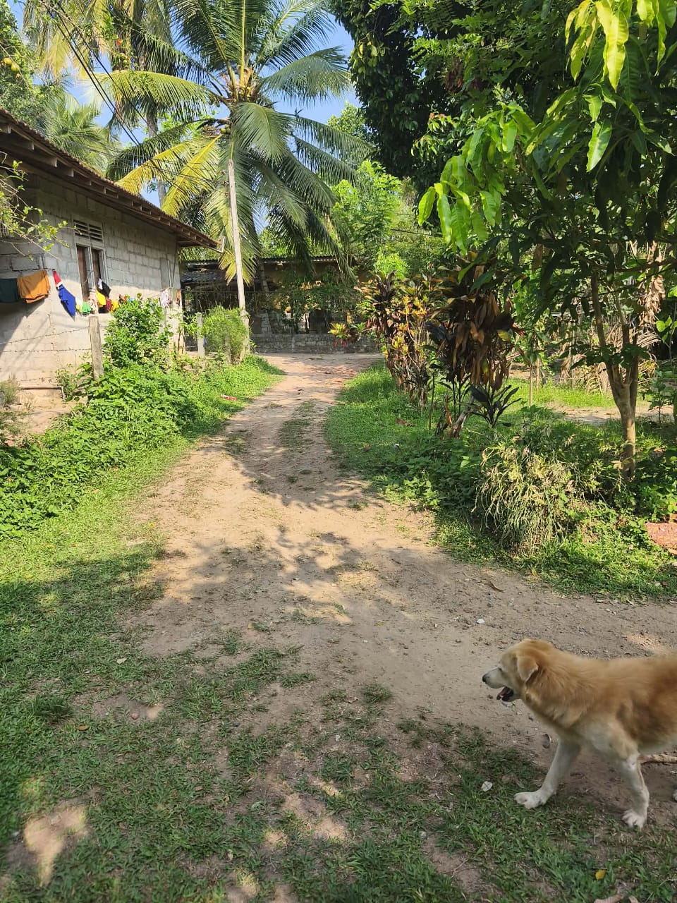 House for Sale in Kadawatha