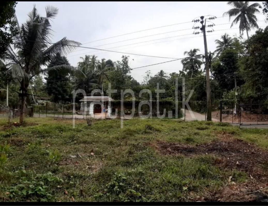 Residential Land for Sale in Minuwangoda