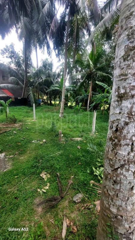 Agricultural Land for Sale in Ridigama ads-image-1