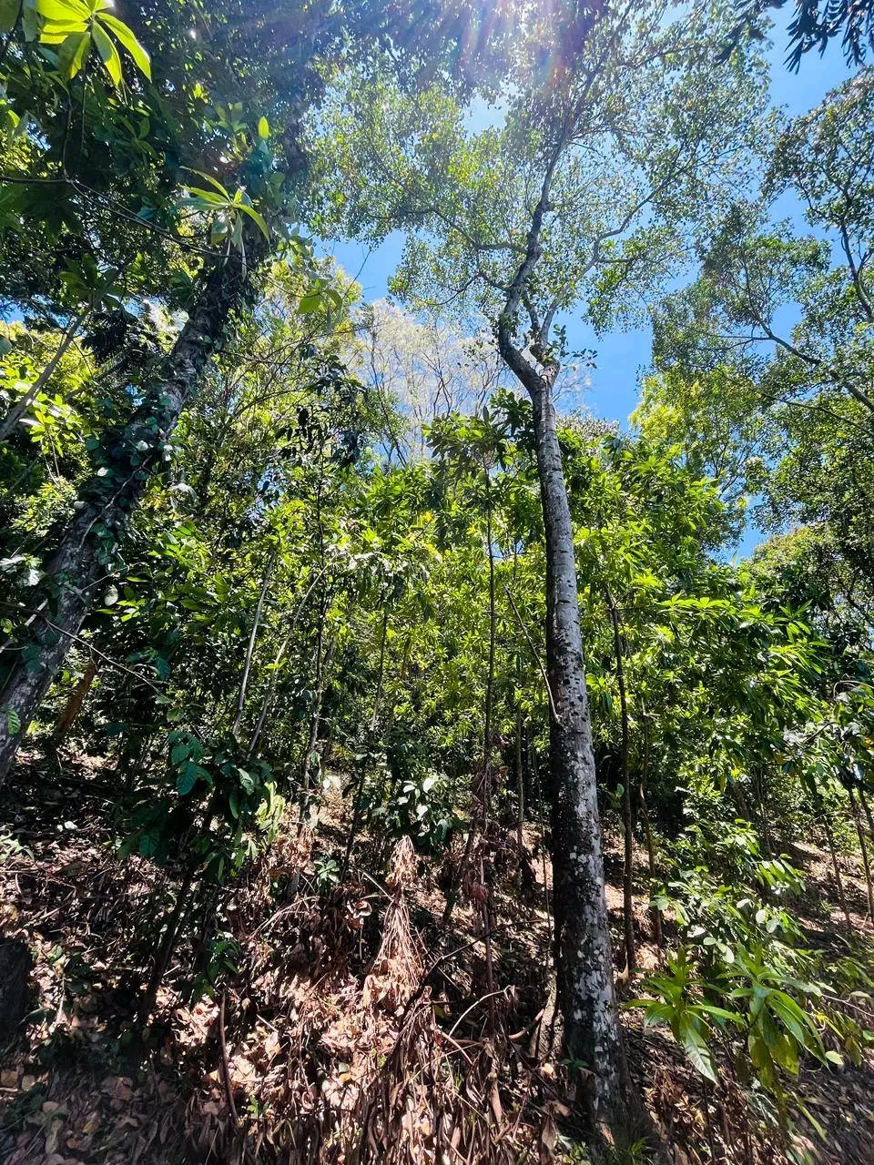 Residential Land for Sale in Panadura