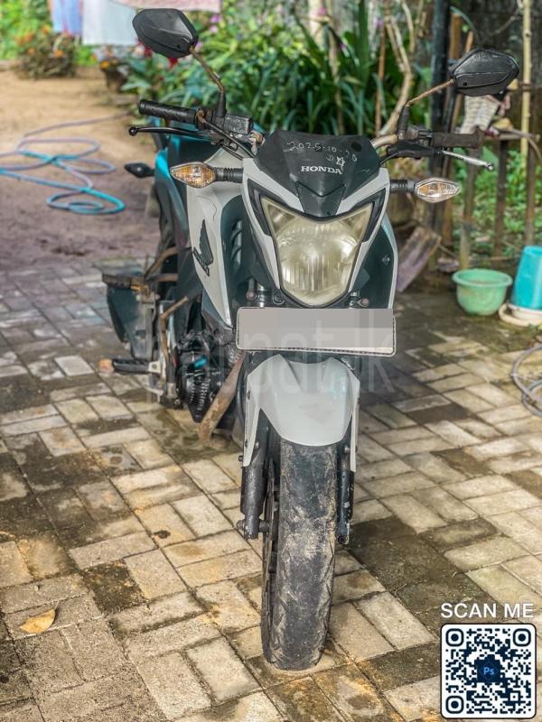 Advertisement image 3