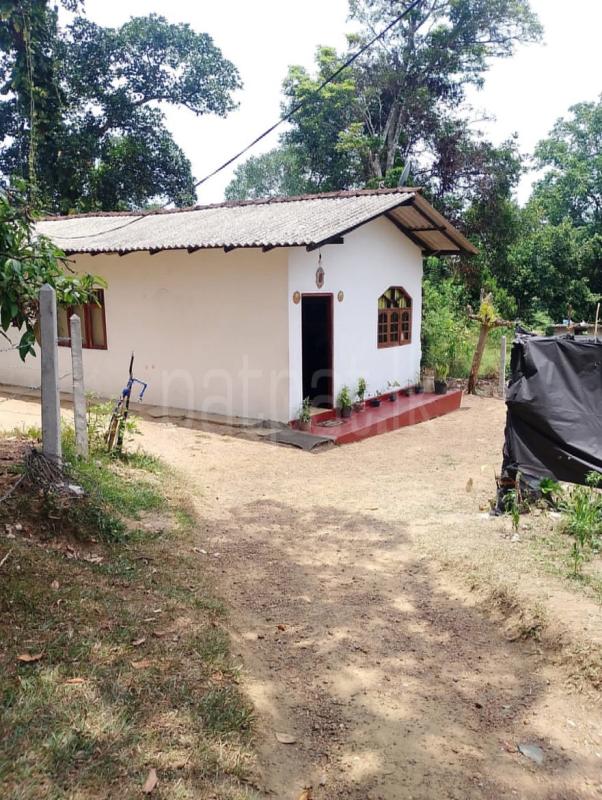 House for Sale in Piliyandala