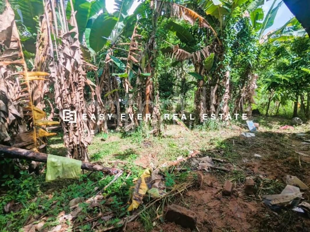 Residential Land for Sale in Malwana