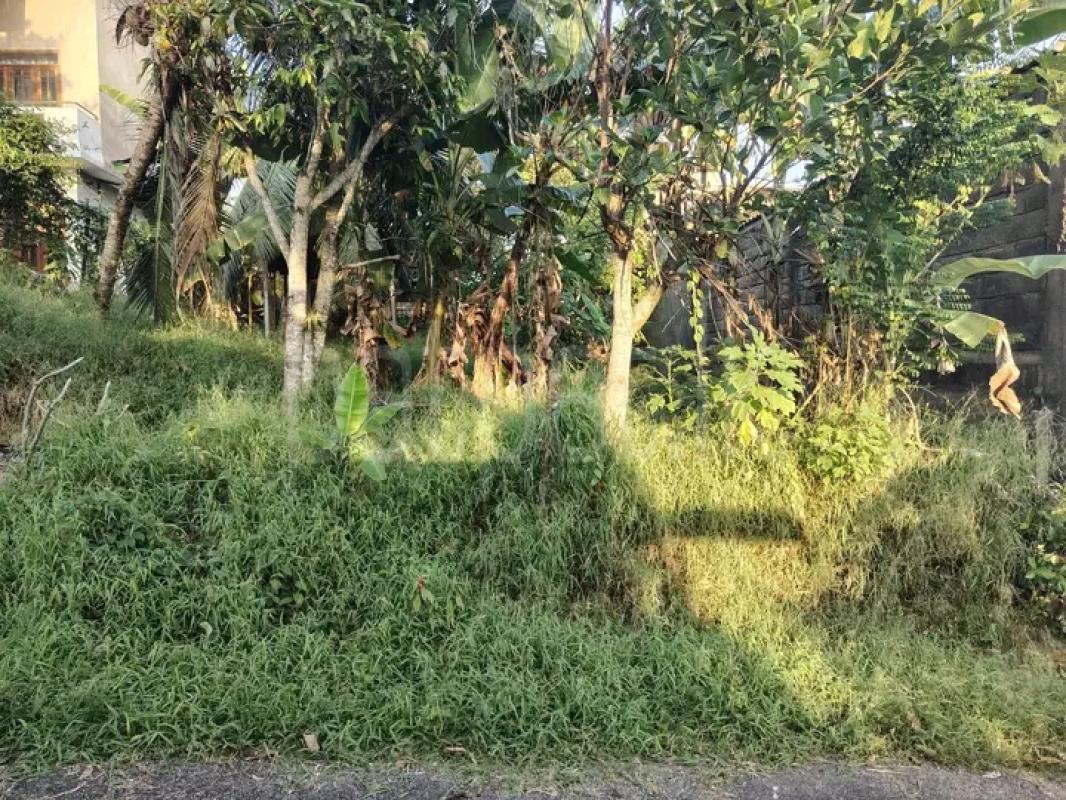 Residential Land for Sale in Polgasowita