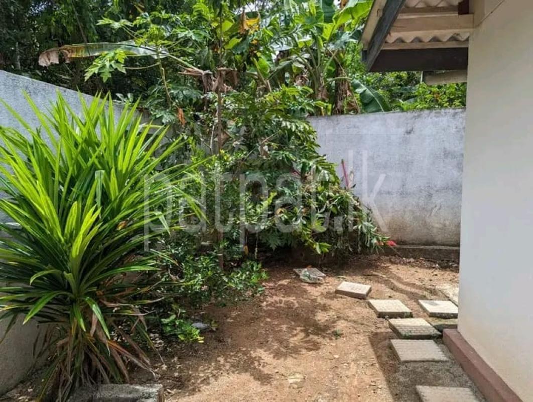 House for Sale in Yakkala ads-image-1