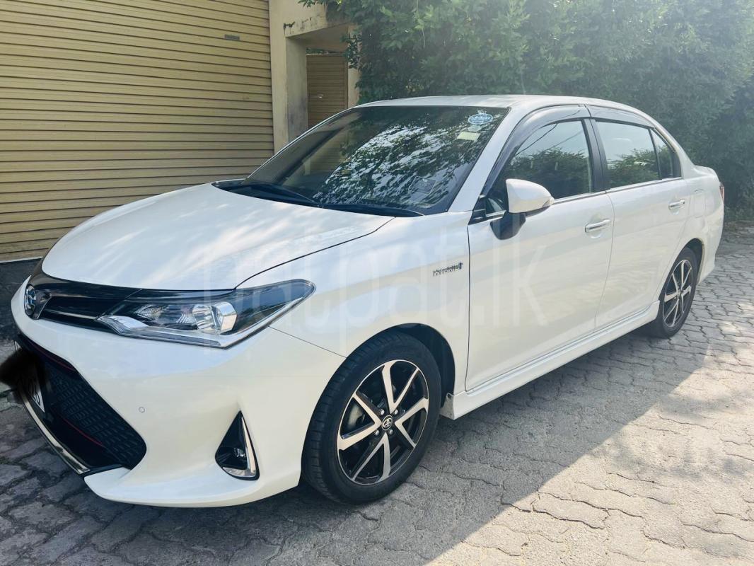 Advertisement image 2