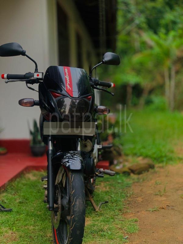 Bajaj Pulsar 2010 - භාවිතා කරන ලද බයිසිකලය sale in Sri Lanka - patpat.lk