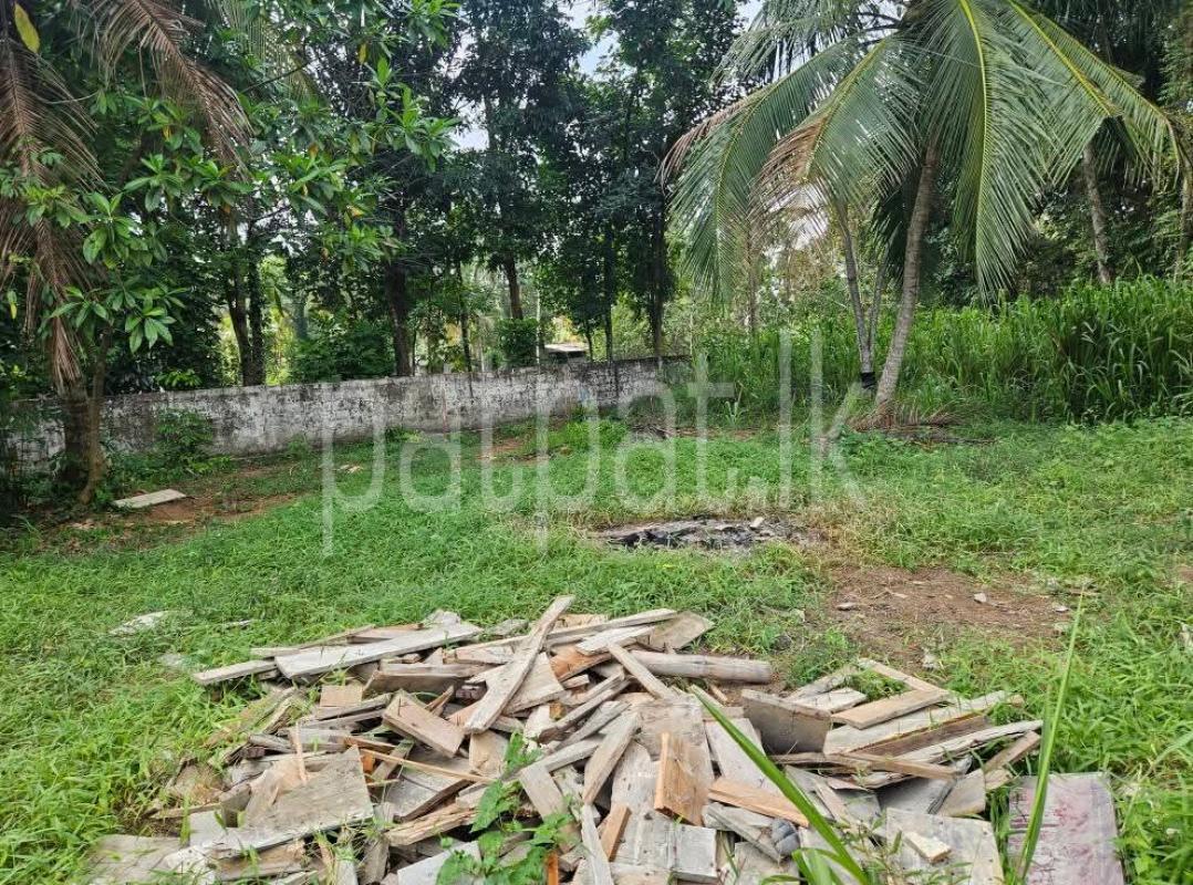 Advertisement image 1