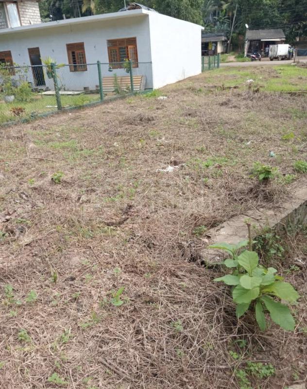 Commercial Land for Sale in Panadura