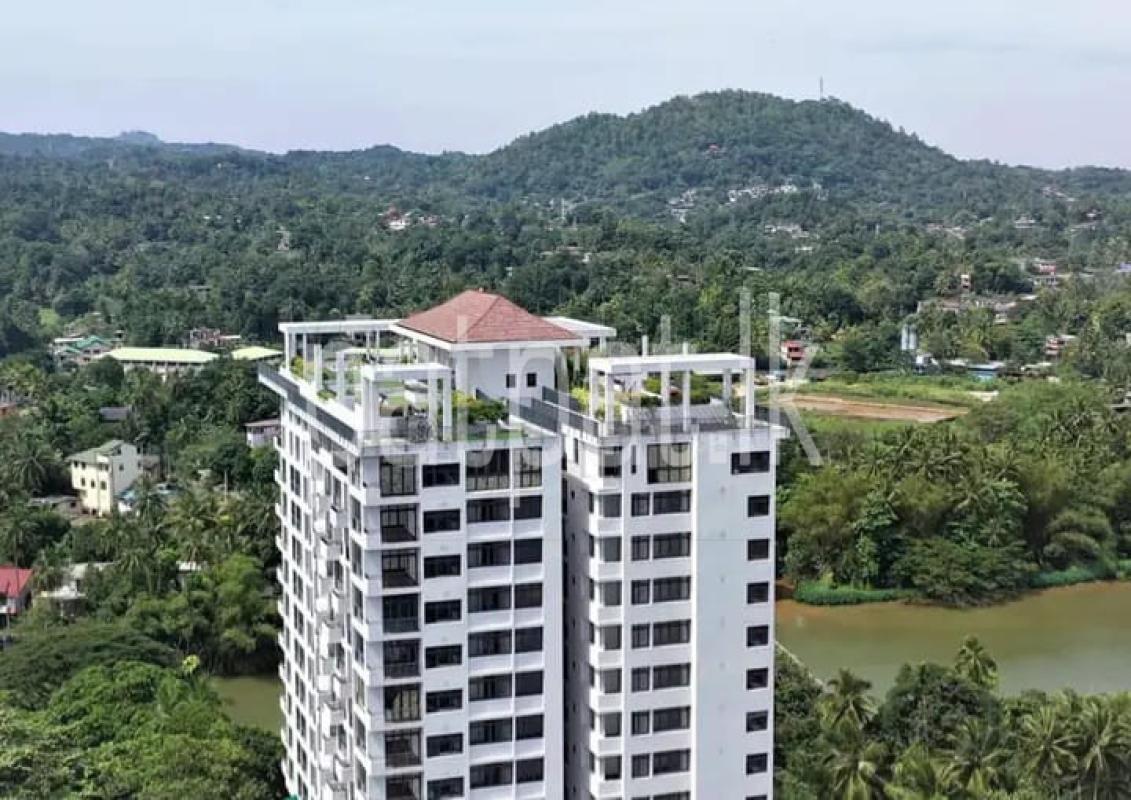 premium-listing-image