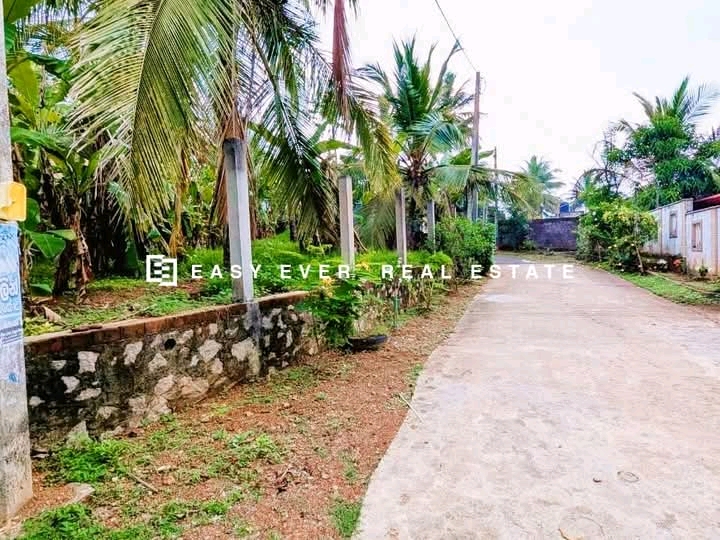 Commercial Land for Sale in Ganemulla