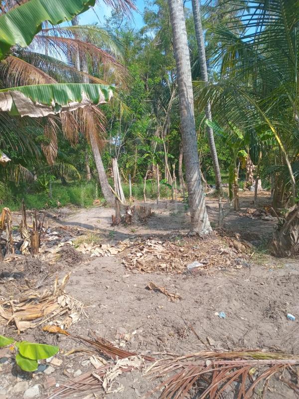 Residential Land for Sale in Nattandiya