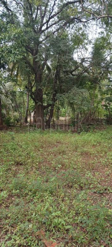 Residential Land for Sale in Kataragama