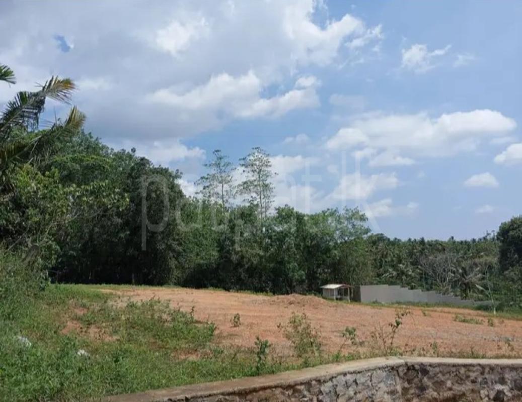 Residential Land for Sale in Homagama
