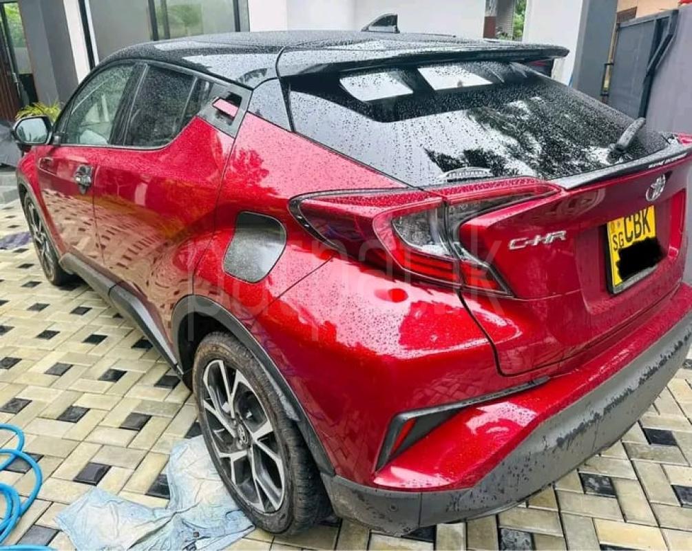 Advertisement image 1