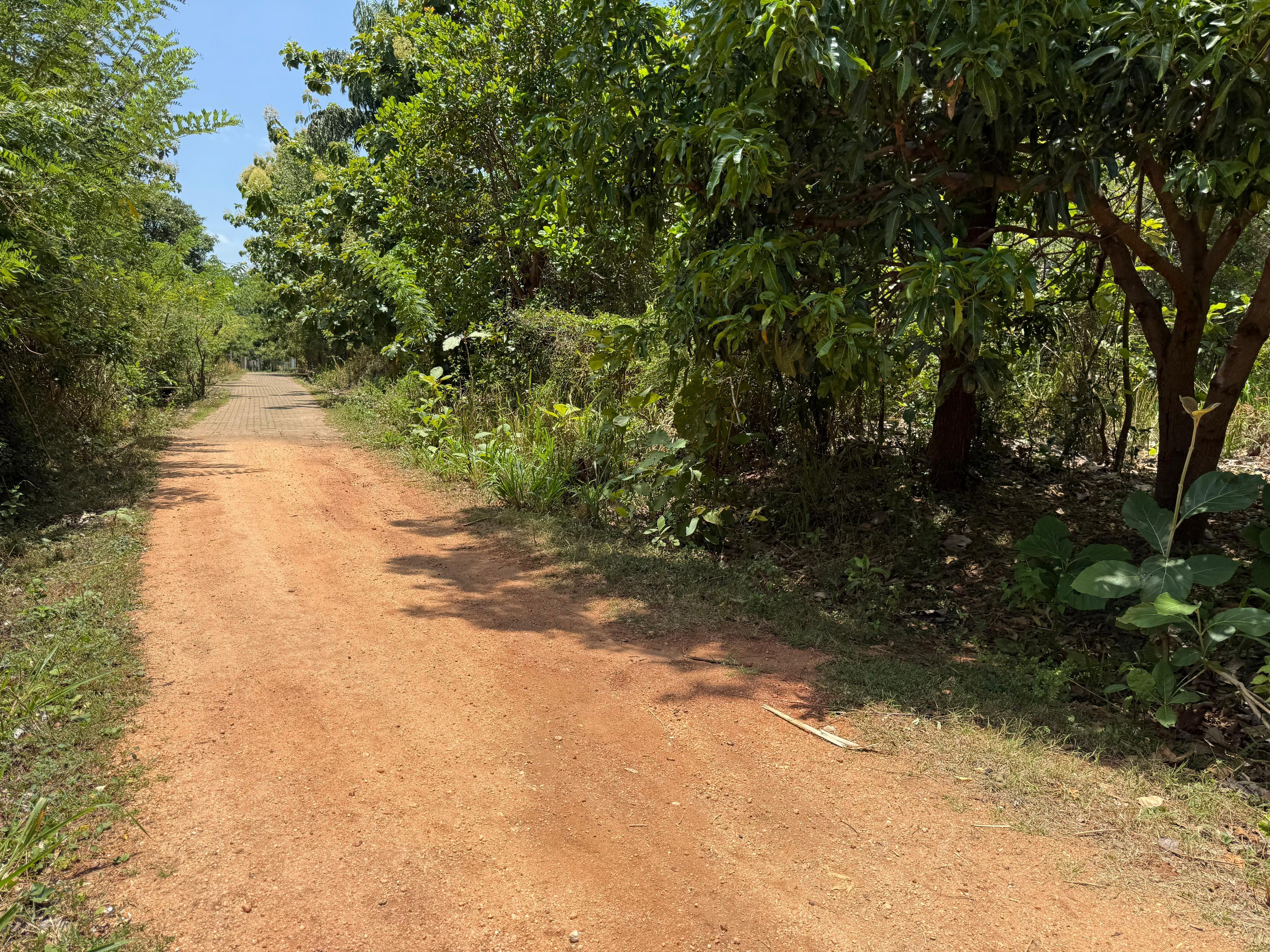 Residential Land for Sale in Lenadora