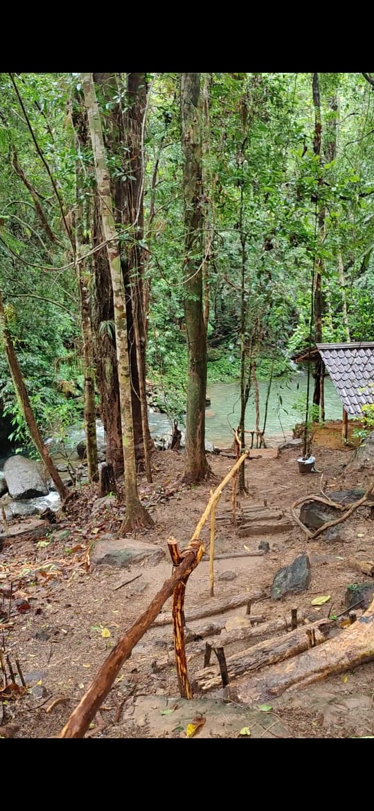 Agricultural Land for Sale in Ayagama