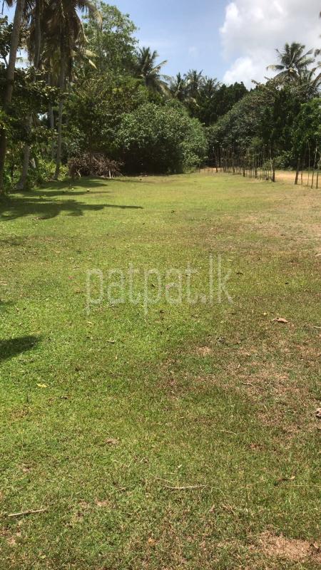 Commercial Land for Sale in Unawatuna