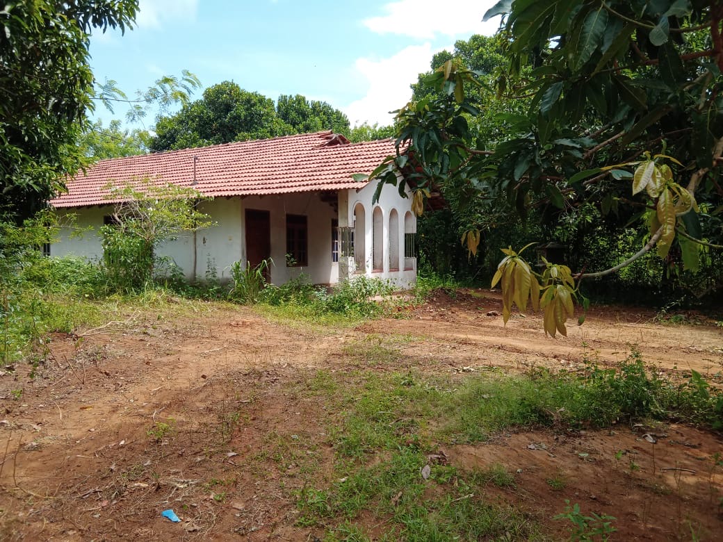 Agricultural Land for Sale in Hungama