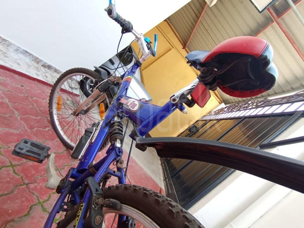 Advertisement image 2