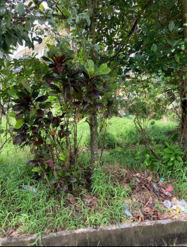 Residential Land for Sale in Horana