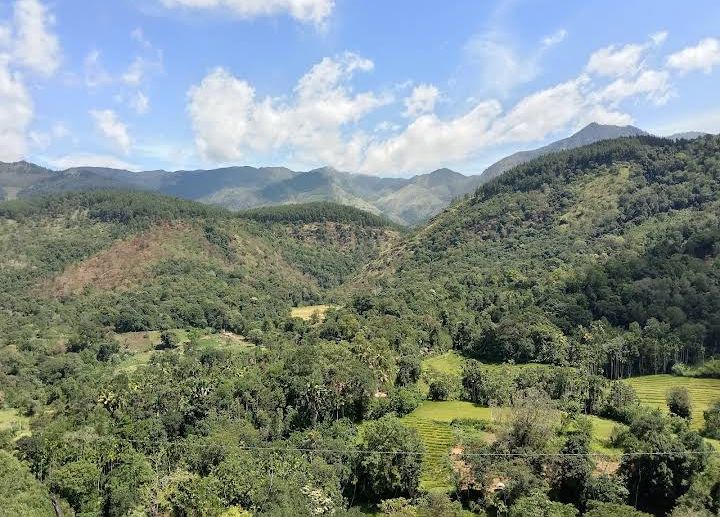 Agricultural Land for Sale in Haputale