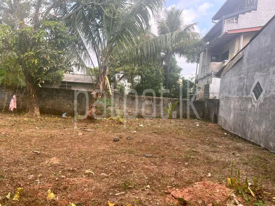 Commercial Land for Sale in Kandana