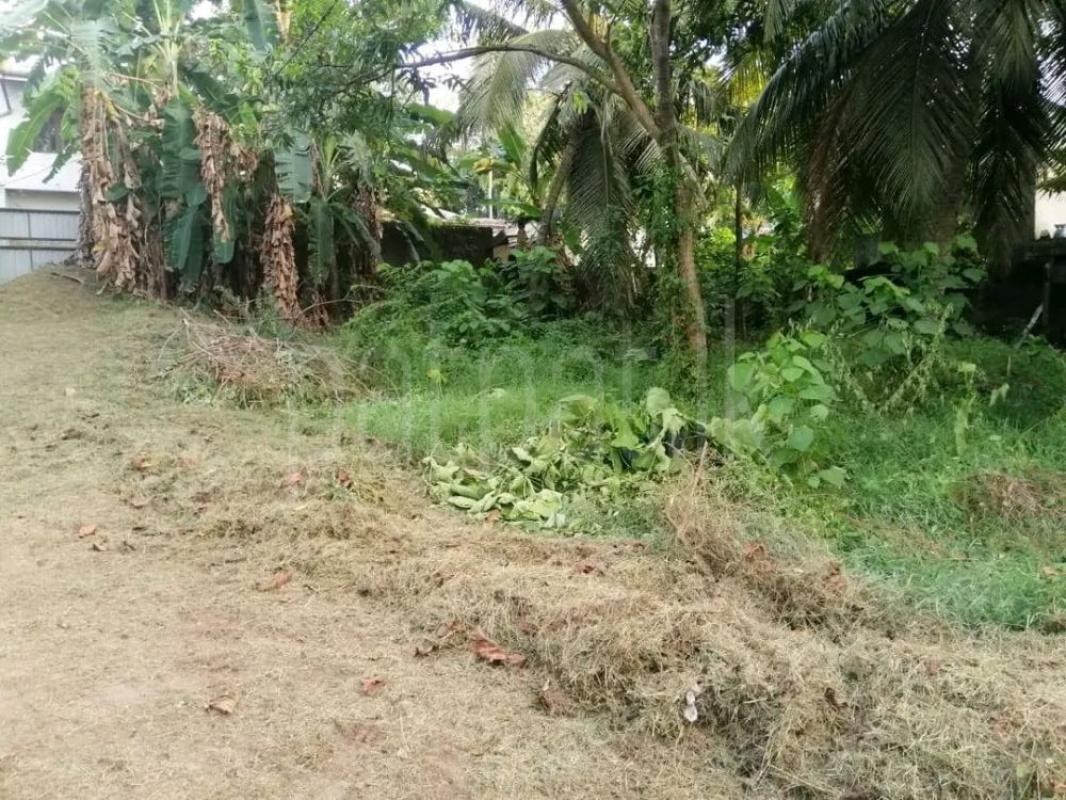 Commercial Land for Sale in Athurugiriya ads-image-1