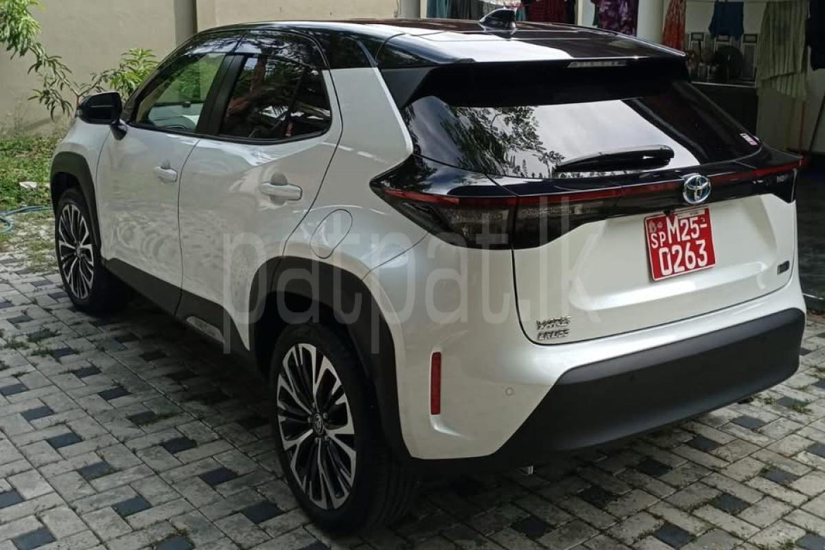 Advertisement image 5