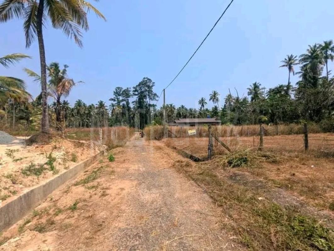 Commercial Land for Sale in Negombo ads-image-1