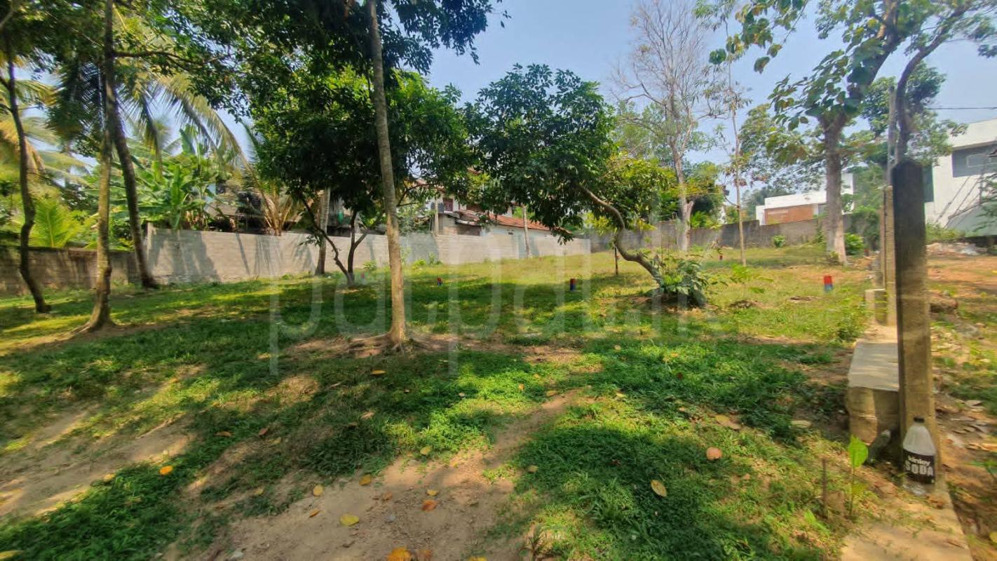 House for Sale in Kotte