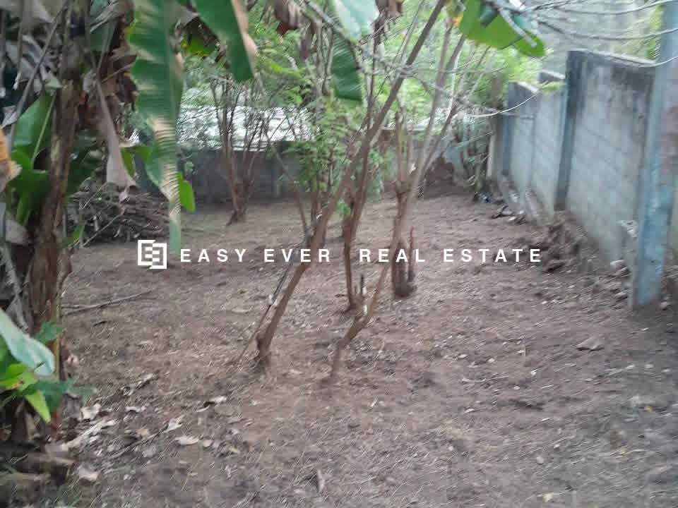 Residential Land for Sale in Pallekelle