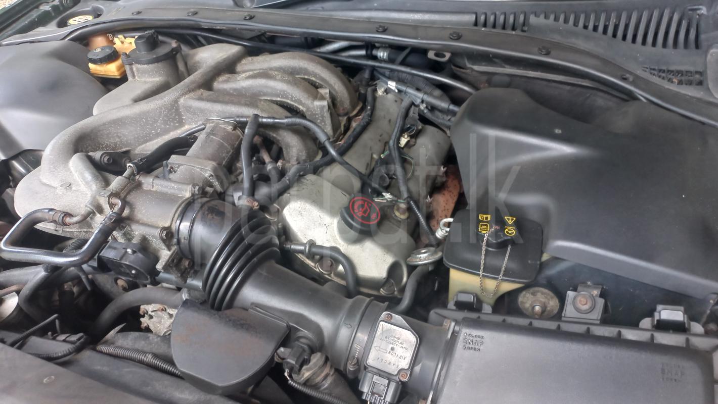 Advertisement image 5