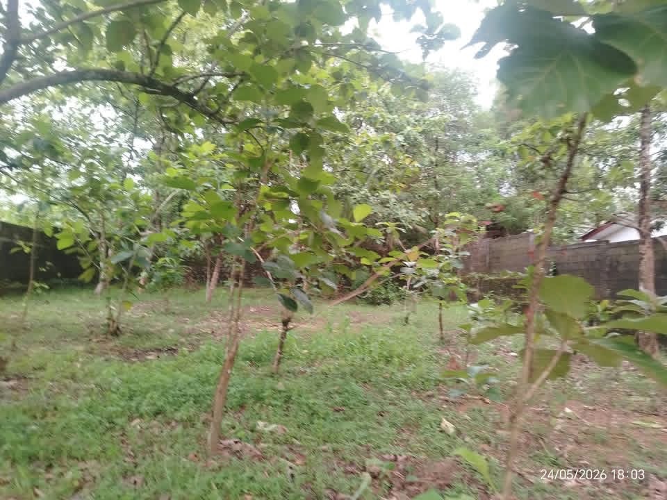 Residential Land for Sale in Padukka