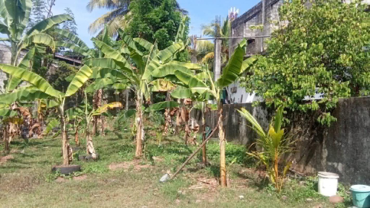 Residential Land for Sale in Pannipitiya ads-image-1