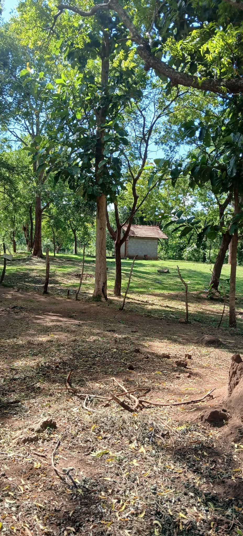 Residential Land for Sale in Kataragama