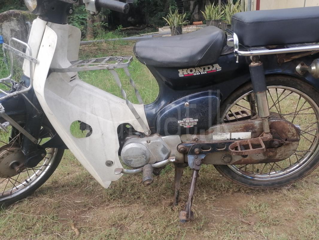 Advertisement image 3