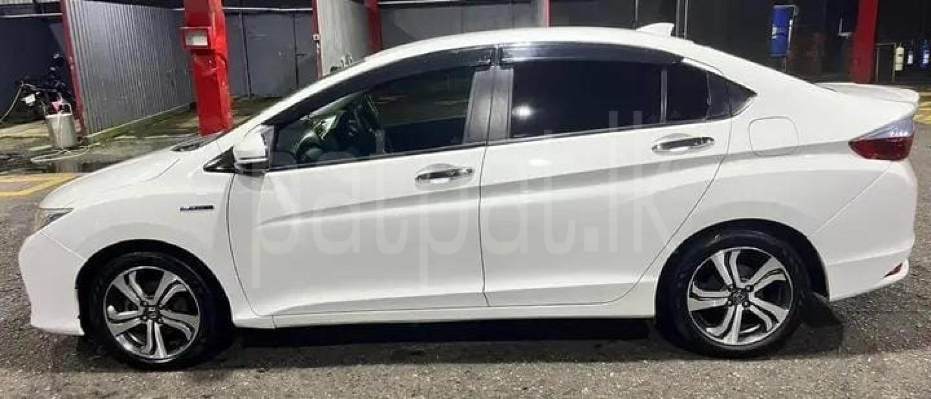 Advertisement image 3