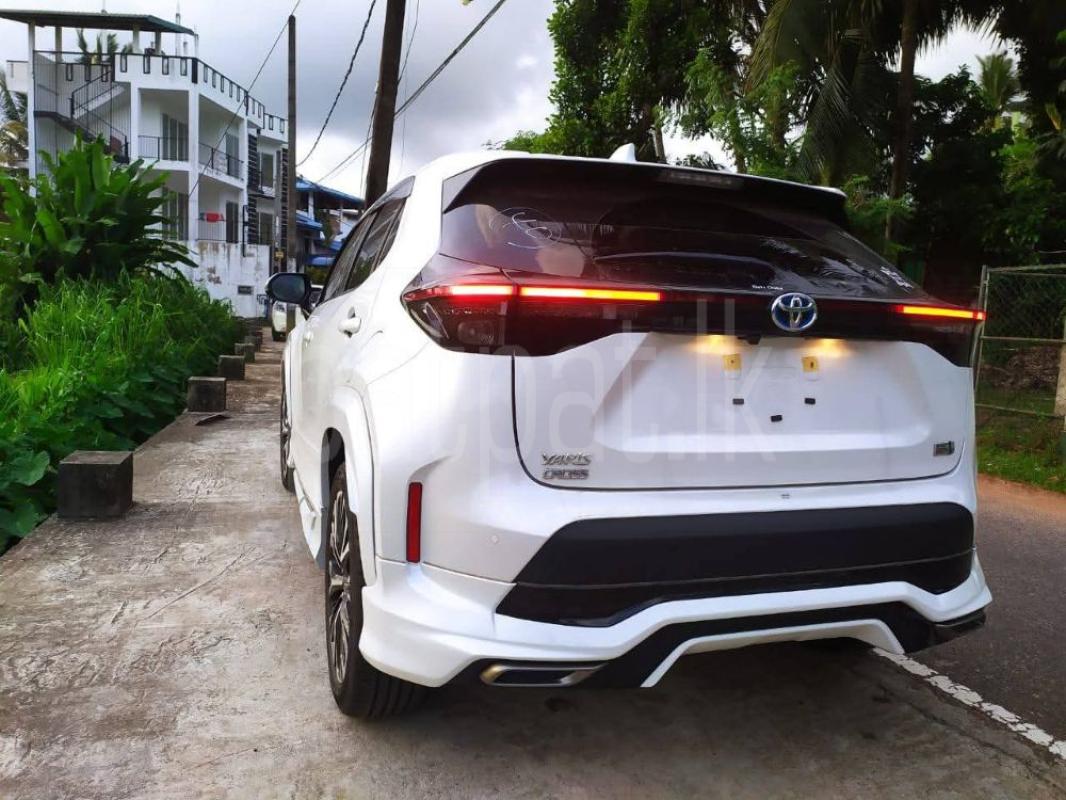 Advertisement image 6