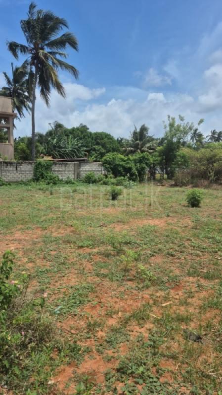 Residential Land for Sale in Kopay ads-image-1