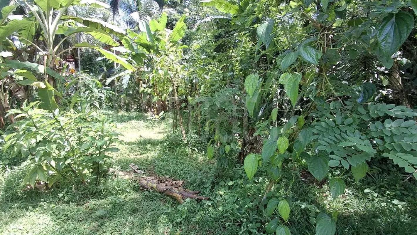 Residential Land for Sale in Biyagama