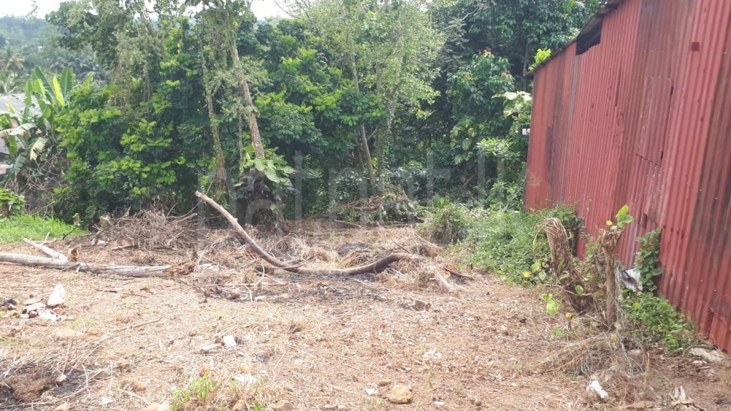 Residential Land for Sale in Ahungalla ads-image-1