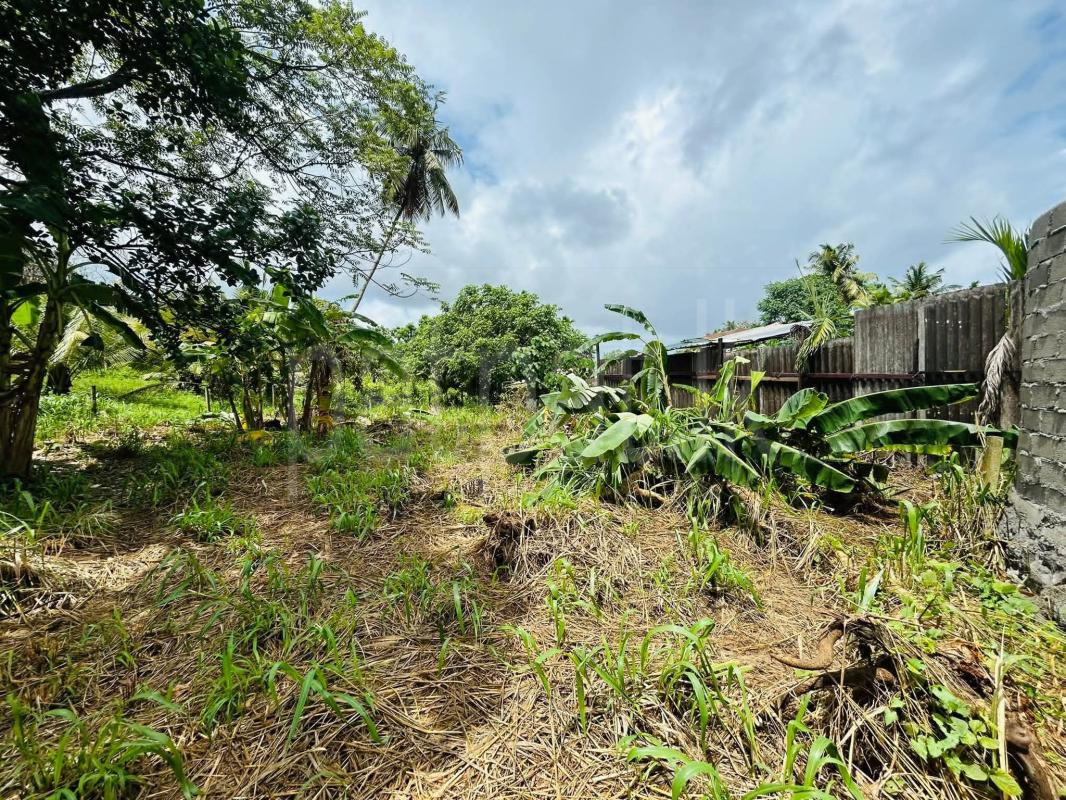 Residential Land for Sale in Kottawa